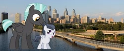 Size: 1870x779 | Tagged: safe, artist:jawsandgumballfan24, rumble, thunderlane, pony, brothers, giant pony, irl, macro, philadelphia, photo, ponies in real life