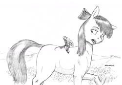 Size: 1400x975 | Tagged: safe, artist:baron engel, apple bloom, oc, oc:king trafalgar maximilian augustus leopold iii, earth pony, mouse, pony, bow, clothes, duo, flower, giant pony, hair bow, looking back, macro, monochrome, pencil drawing, size difference, story in the source, story included, traditional art