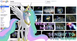 Size: 1332x710 | Tagged: safe, princess celestia, alicorn, pony, celestia (program), female, google, horn, mare, multicolored mane, solo, white coat