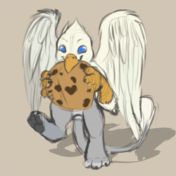 Size: 800x800 | Tagged: safe, artist:zempy3, oc, oc only, oc:der, griffon, cookie, food, micro, solo, that griffon sure "der"s love cookies