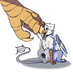 Size: 1000x1000 | Tagged: safe, artist:viirux, oc, oc only, oc:der, oc:gyro feather, oc:gyro tech, griffon, griffonized, micro, paws, simple background, species swap, talons, transparent background, underpaw