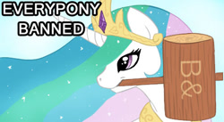 Size: 478x262 | Tagged: safe, princess celestia, alicorn, pony, admin, banhammer, female, mare, mouth hold, reaction image, solo