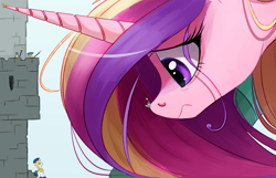 Size: 2324x1498 | Tagged: safe, artist:ncmares, princess cadance, princess flurry heart, shining armor, alicorn, pony, unicorn, big-pon, giant pony, heart, jewelry, macro, mega cadance, regalia, royal guard, scared, zoomed in