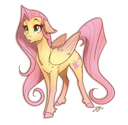 Size: 1000x974 | Tagged: safe, artist:probablyfakeblonde, fluttershy, pegasus, pony, cute, female, floppy ears, mare, nervous, simple background, solo, unshorn fetlocks, white background