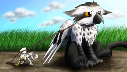 Size: 5760x3300 | Tagged: safe, artist:xeirla, oc, oc only, oc:der, oc:floofy, griffon, avian, collar, duo, leash, micro, unwilling