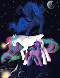 Size: 850x1100 | Tagged: safe, artist:soranoryu, princess celestia, princess luna, twilight sparkle, alicorn, pony, crown, female, horn, jewelry, mare, regalia, siblings, sisters