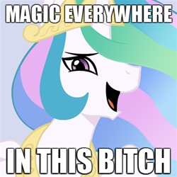 Size: 400x400 | Tagged: safe, princess celestia, alicorn, pony, caption, image macro, insane clown posse, vulgar