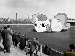 Size: 1024x768 | Tagged: safe, artist:somerandomminion, sweetie belle, human, pony, unicorn, black and white, city, cute, diasweetes, dundee, giant pony, grayscale, irl, macro, mega sweetie belle, monochrome, photo, ponies in real life, scotland, stadium