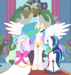 Size: 500x532 | Tagged: safe, screencap, princess cadance, princess celestia, shining armor, alicorn, pony, unicorn, lidded eyes, royal wedding, wings