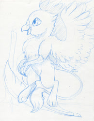 Size: 957x1234 | Tagged: safe, artist:shazzykatana, oc, oc only, oc:der, griffon, candle, feather, male, micro, sketch, solo, traditional art