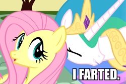 Size: 960x640 | Tagged: safe, edit, edited screencap, screencap, fluttershy, princess celestia, alicorn, pegasus, pony, a bird in the hoof, caption, image macro, implied farting, meme