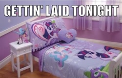 Size: 500x320 | Tagged: safe, princess celestia, spike, twilight sparkle, alicorn, dragon, pony, bed, image macro