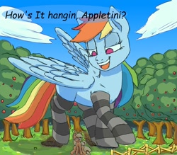 Size: 1600x1400 | Tagged: safe, artist:charlemage, artist:jimmyjamno1, applejack, rainbow dash, earth pony, pegasus, pony, apple tree, clothes, dialogue, faic, fence, giant pony, giant rainbow dash, macro, mega/giant rainbow dash, size difference, smug, smugdash, socks, striped socks, tree