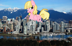 Size: 1600x1030 | Tagged: safe, pegasus, pony, andrea libman, british columbia, canada, city, giant pony, highrise ponies, irl, macro, pegasus oc, photo, story included, vancouver, wings