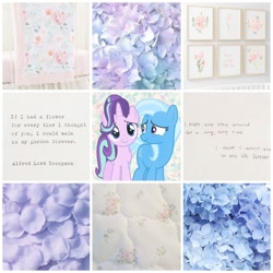 Size: 1080x1080 | Tagged: safe, artist:bubaiuv, derpibooru import, starlight glimmer, trixie, pony, collage, female, lesbian, moodboard, shipping, startrix