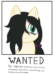 Size: 576x792 | Tagged: safe, artist:scraggleman, oc, oc only, oc:floor bored, earth pony, pony, /mlp/, 4chan, breaking the law, female, indifferent, mare, ponytail, solo, wanted poster