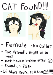 Size: 720x1008 | Tagged: safe, artist:scraggleman, oc, oc only, oc:floor bored, earth pony, pony, angry, bags under eyes, behaving like a cat, behaving like a possum, chest fluff, female, hissing, implied anon, implied estrus, lip bite, mare, messy mane, open mouth, ponified, poster, scrunchie, shrunken pupils, solo, text