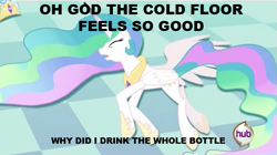 Size: 633x355 | Tagged: safe, princess celestia, alicorn, pony, alcohol, drunk, image macro, meme, solo, tracy