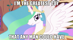 Size: 625x351 | Tagged: safe, princess celestia, alicorn, pony, caption, female, image macro, looking at you, solo