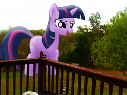 Size: 2500x1876 | Tagged: safe, artist:flutterbatismagic, twilight sparkle, pony, backyard, female, giant ponies in real life, giant pony, giantess, impending doom, irl, macro, macro/micro, mega twilight sparkle, photo, photomanipulation, ponies in real life, what has magic done, what has science done