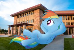 Size: 5000x3334 | Tagged: safe, artist:flutterbatismagic, rainbow dash, pony, building, college, female, giant ponies in real life, giant pony, giant rainbow dash, giantess, has science gone too far?, irl, lying down, macro, macro/micro, mega/giant rainbow dash, photo, ponies in real life, relaxing, vector, what has science done