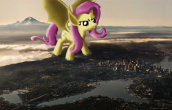 Size: 3840x2450 | Tagged: safe, artist:flutterbatismagic, fluttershy, bat pony, pony, undead, vampire, vampony, aerial view, angry, city, destruction, female, flutterbat, giant ponies in real life, giant pony, irl, macro, macro/micro, photo, photomanipulation, ponies in real life, race swap, seattle, sunset