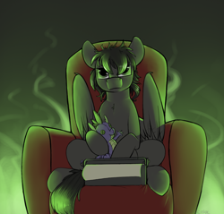 Size: 1308x1250 | Tagged: safe, artist:sinrar, derpibooru import, oc, oc only, pegasus, pony, armchair, fire, folded wings, green fire, sitting, solo, spike plushie, typewriter, unnamed oc