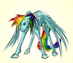 Size: 3417x2985 | Tagged: safe, artist:akweer, rainbow dash, pegasus, pony, colored sketch, solo