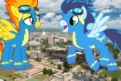 Size: 1000x667 | Tagged: safe, artist:jerryakira79, soarin', spitfire, pegasus, pony, clothes, female, giant pegasus, giant ponies in real life, giant pony, giant wonderbolts pony, giant/macro spitfire, irl, macro, male, mega giant, mega/giant soarin', photo, ponies in real life, uniform, wonderbolts uniform