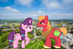 Size: 1000x667 | Tagged: safe, artist:jerryakira79, big macintosh, sugar belle, pony, unicorn, female, giant pony, highrise ponies, irl, macro, male, photo, shipping, straight, sugarmac