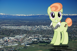 Size: 3008x2000 | Tagged: safe, artist:jerryakira79, earth pony, pony, female, giant pony, highrise ponies, irl, macro, photo