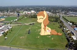 Size: 2100x1368 | Tagged: safe, artist:jerryakira79, oc, oc only, oc:cream heart, earth pony, pony, female, giant pony, highrise ponies, irl, macro, photo