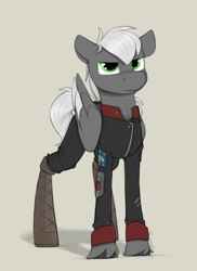 Size: 800x1100 | Tagged: safe, artist:sinrar, derpibooru import, oc, oc:stryker, pegasus, pony, clothes, commission, male, simple background, solo, uniform