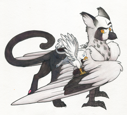 Size: 1234x1112 | Tagged: safe, artist:twisted-sketch, oc, oc only, oc:der, oc:floofy, griffon, duo, male, micro, simple background, spread wings, traditional art, wings