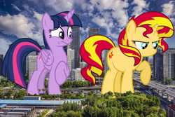 Size: 1550x1033 | Tagged: safe, artist:auskeldeo, artist:davidsfire, artist:godoffury, sunset shimmer, twilight sparkle, twilight sparkle (alicorn), alicorn, pony, beijing, building, china, giant ponies in real life, giant pony, highrise ponies, irl, looking down, macro, photo, ponies in real life, raised hoof, skyscraper, story included