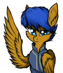 Size: 4000x4615 | Tagged: safe, artist:tatykin, derpibooru exclusive, derpibooru import, oc, oc only, oc:crushingvictory, pegasus, pony, fallout equestria, absurd resolution, cheek fluff, clothes, ear fluff, folded wing, raised wing, simple background, solo, vault suit