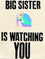 Size: 430x572 | Tagged: safe, princess celestia, alicorn, pony, female, mare, multicolored mane, propaganda, solo, white coat