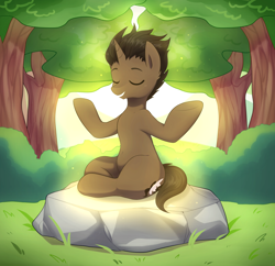 Size: 3300x3200 | Tagged: safe, artist:maren, derpibooru import, oc, oc only, pony, unicorn, eyes closed, forest, hooves, lotus position, male, meditating, rock, solo, tree, unicorn oc