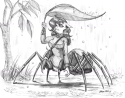 Size: 1400x1097 | Tagged: safe, artist:baron engel, oc, oc only, oc:charlotte silk, anthro, drider, monster pony, original species, spider, spiderpony, clothes, female, grayscale, leaf, micro, monochrome, monster mare, pencil drawing, rain, solo, sweater, traditional art