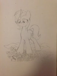 Size: 960x1280 | Tagged: safe, artist:ravistdash, oc, oc:laza, pony, unicorn, building, city, crush fetish, crushing, destruction, fetish, macro, ocean, pencil drawing, river, sketch, traditional art