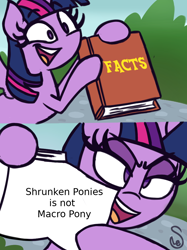 Size: 760x1015 | Tagged: safe, artist:quarium edits, twilight sparkle, twilight sparkle (alicorn), alicorn, book, exploitable meme, macro, meme, twilight's fact book