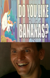 Size: 549x860 | Tagged: safe, princess celestia, alicorn, human, pony, banana, do you like bananas?, doctor who, female, friendship is magic bitch, irl, mare, megaphone, ninth doctor, out of context, photo