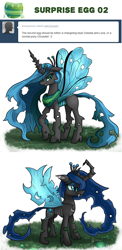 Size: 882x1813 | Tagged: dead source, safe, artist:php13, princess celestia, princess luna, changeling, changeling queen, askchrysalis, female, species swap