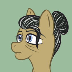 Size: 576x576 | Tagged: safe, artist:scraggleman, oc, oc only, oc:floor worn, earth pony, pony, /mlp/, 4chan, bust, female, grandmother, hair bun, mare, portrait, solo