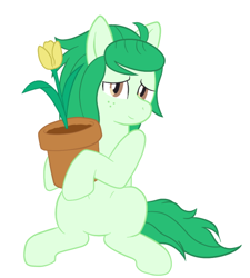 Size: 500x556 | Tagged: safe, artist:scraggleman, wallflower blush, earth pony, pony, equestria girls, equestria girls series, forgotten friendship, cute, equestria girls ponified, female, flower, flowerbetes, mare, ponified, potted plant, simple background, sitting, smiling, solo, tulip, wallflower and plants