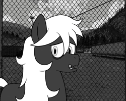 Size: 1280x1024 | Tagged: safe, artist:scraggleman, oc, oc only, oc:cipher, earth pony, pony, story:lost and found, fence, male, monochrome, solo, stallion, story included