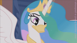 Size: 1280x719 | Tagged: safe, edit, edited screencap, editor:i-shooped-a-pwny, screencap, princess celestia, alicorn, duck, pony, the crystal empire, duckface, literal duck face, swanlestia