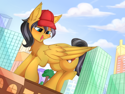 Size: 4000x3000 | Tagged: safe, artist:pesty_skillengton, oc, oc only, oc:small block, pegasus, pony, city, giant pony, hat, looking down, macro, pegasus oc, solo