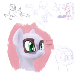 Size: 2700x2700 | Tagged: safe, artist:pashoo, anthro, original species, plane pony, pony, anthro with ponies, doodle, plane, sketch dump