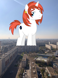 Size: 3024x4032 | Tagged: safe, artist:dragonchaser123, long play, pony, unicorn, giant pony, highrise ponies, irl, macro, paris, photo, ponies in real life